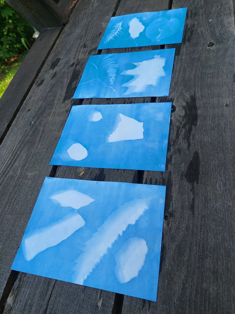 Sue in the Highlands tweet media