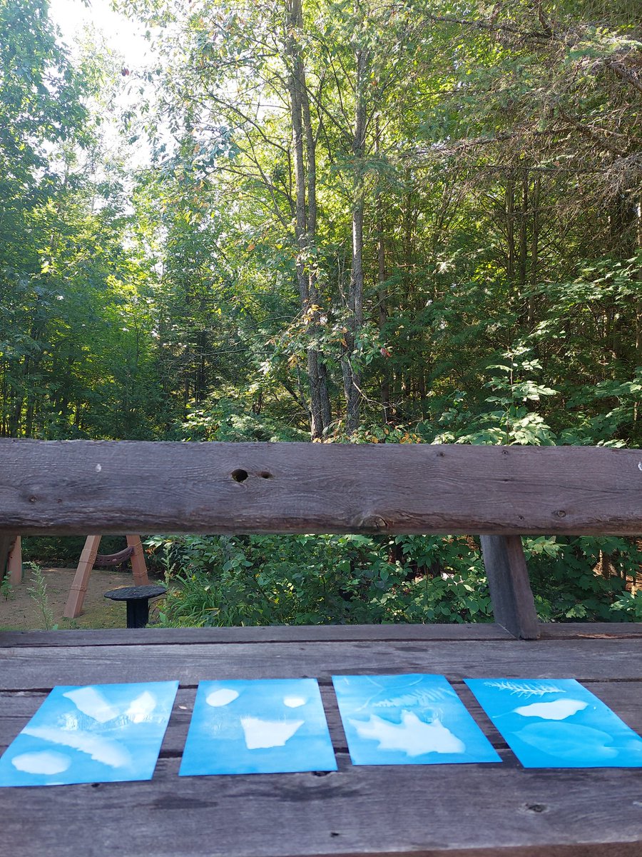 A perfect sunny Monday activity, thanks to <a href="/HaliburtonCPL/">Haliburton County Public Library</a> and @Pinnguaq ❤️ 🌳 🍃 🌞 

#MyHaliburtonHighlands