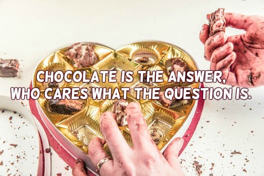 mediatainment's tweet photo. Chocolate is the answer, who cares what the question is. #quote https://t.co/npRjFRWdwU