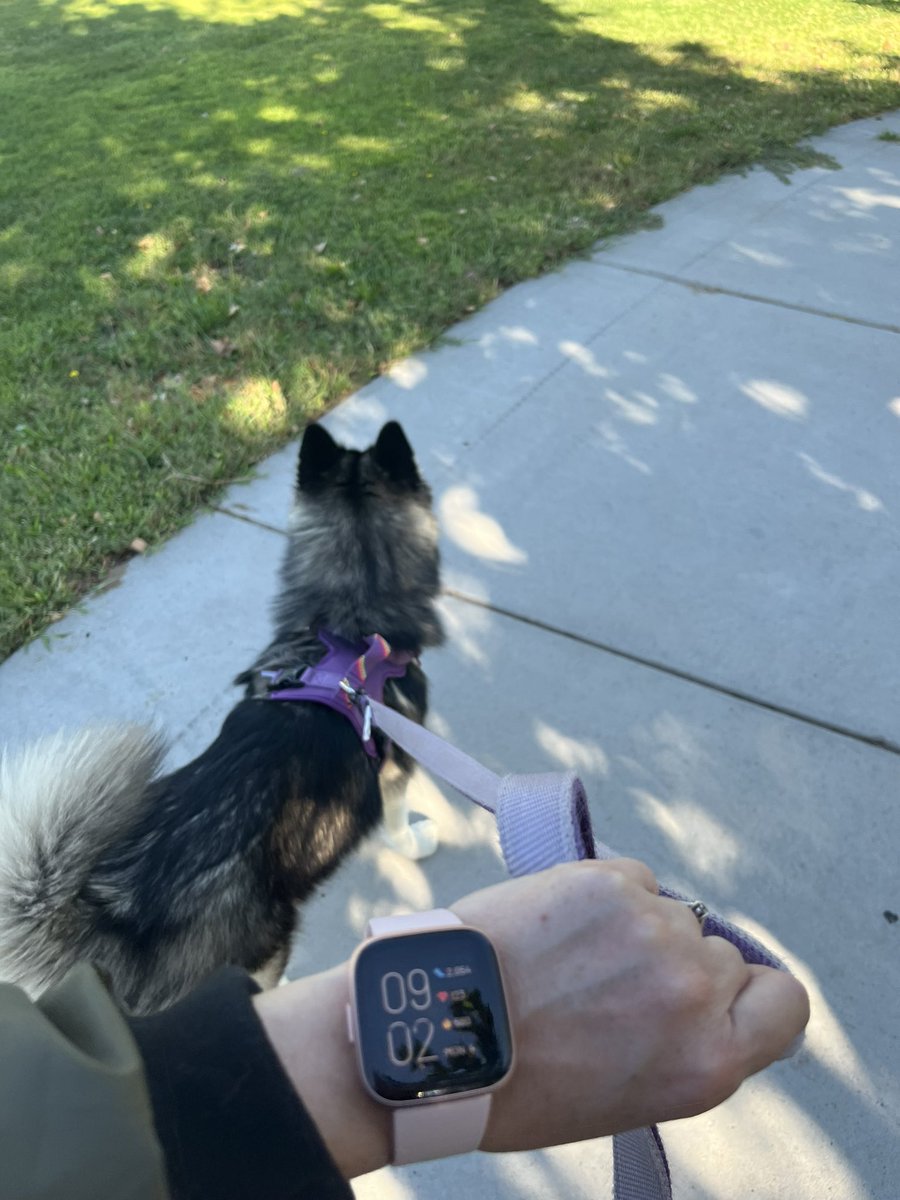 susieevelo's tweet photo. Doing that #FearClub thing and getting the steps in! @ConnorStallings #fearfam #ProjectFearYT https://t.co/KTmtzv2EHz