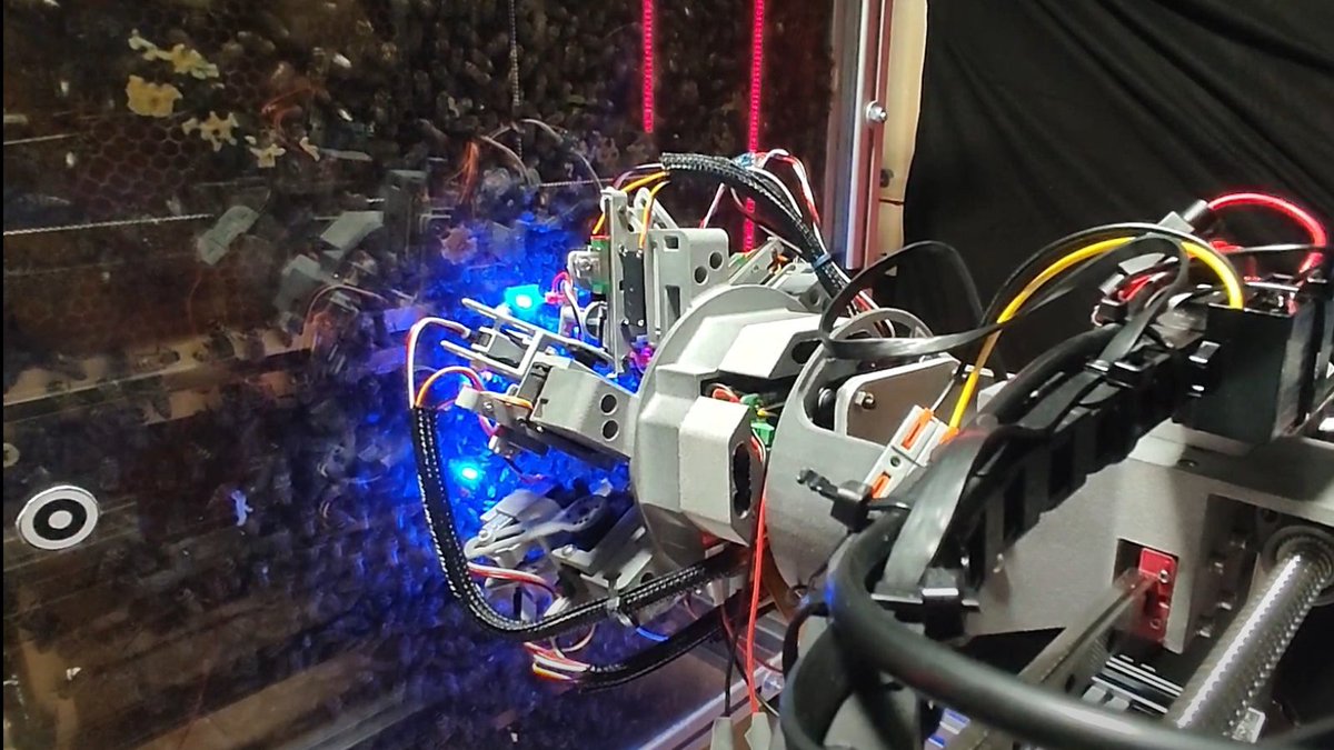 durham_uni's tweet photo. Robotic bees and #MammalWeb π€π
@comp_sci_durhamΒ are collaborating with researchers from other disciplines to better understand how animals are coping with ecological challenges.
Learn more π https://t.co/rHulngevrh
#DUcomputerscience @ArvinFarshad https://t.co/eigwM4sGnh