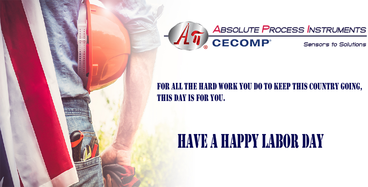 It's your day to relax, so enjoy and have some fun. 
#API #Cecomp #APICecomp

Happy Labor Day from Absolute Process Instruments / Cecomp.
