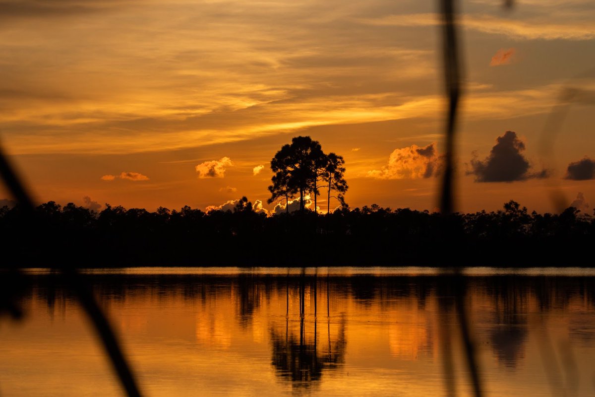 EvergladesNPS's tweet image. How much do you know about the #LaborMovement in the US?

The National Park Service protects places across the country that tell the story of the Labor Movement and its people. Learn more and virtually visit NPS sites at nps.gov/subjects/labor…

NPS photo by Federico Acevedo