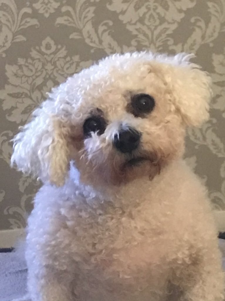 Mags Cantley tweet media