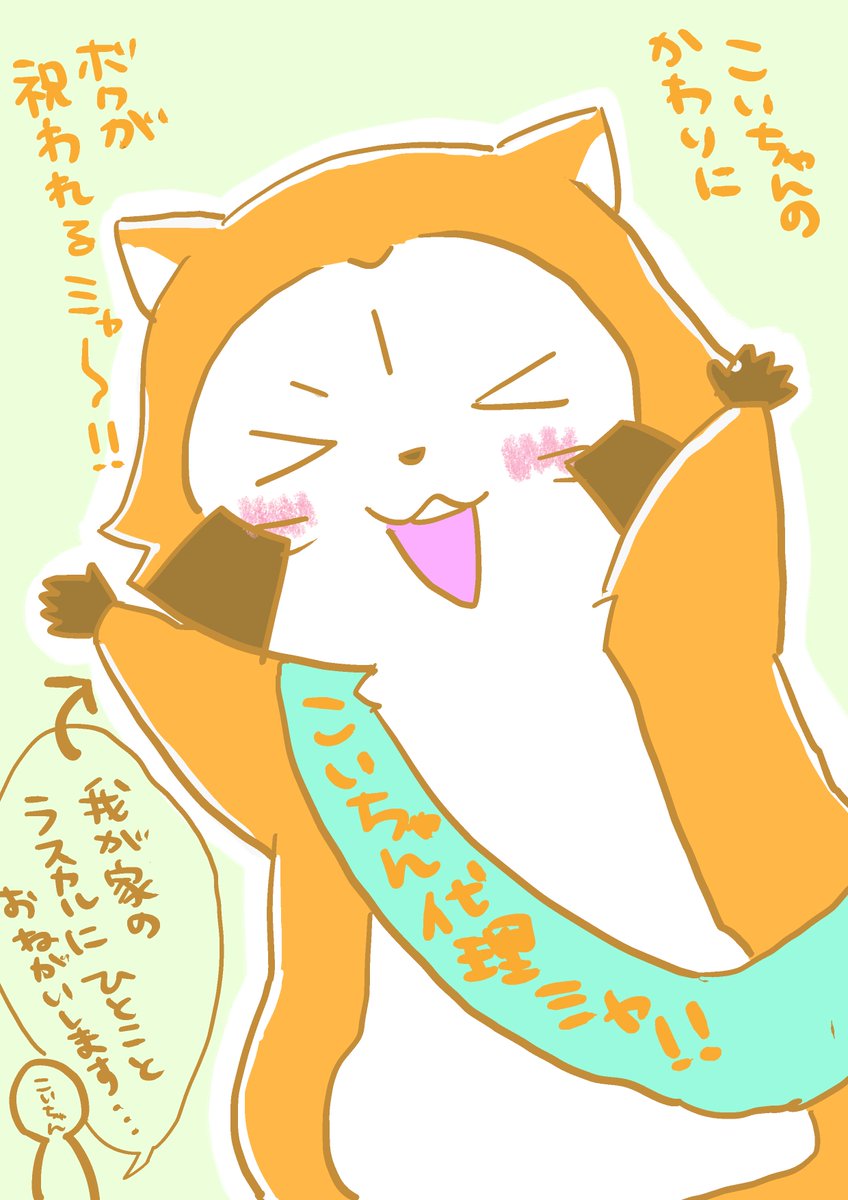 co_rascal45's tweet image. 優しいフォロワ〜！！
今日私の誕生日なので祝ってください！！

私の代わりに我が家のラスカルにお祝いのコメントお願いします！😉

ついでによく使うラスカルグッズ教えてください。