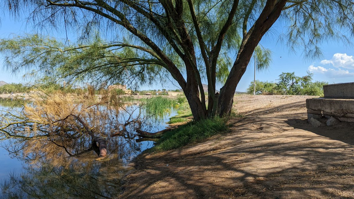 #LocationOfTheWeek Kennedy Urban Community Lake is a small, man-made lake located in Kennedy Lake in Tucson, AZ. 

#gofilmaz #locationscouting #filmtucson #filmlocation #filmproduction #arizonafilm #arizonalocation #Arizona #citylake #urbanlake #kennedylake #southernarizona