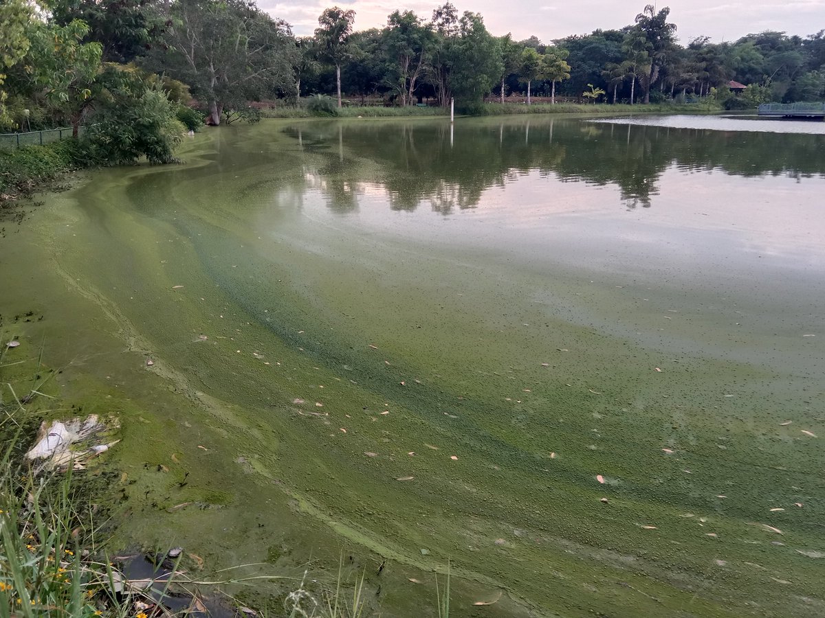 Ganesh Chari tweet media