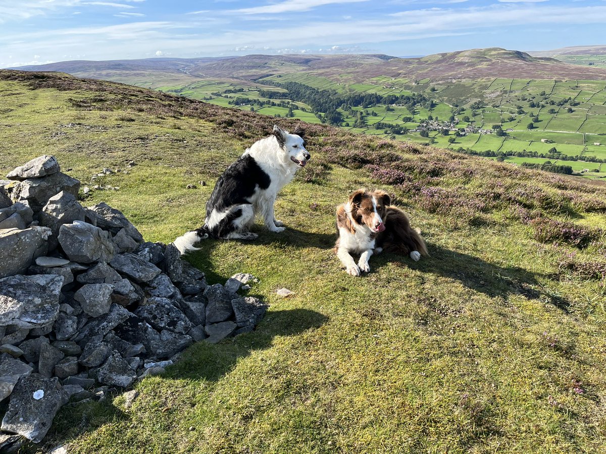 ForrestMark's tweet photo. This afternoon I’ll be serving a Bruckner anniversary symphonic feast, an introduction to the exciting violinist @danbiumviolin playing Shakespearean Korngold, wishing Happy Birthday @hildurness and constantly refilling the dogs’ water bowl @ScalaRadio from 4pm https://t.co/bR02qdbYf7