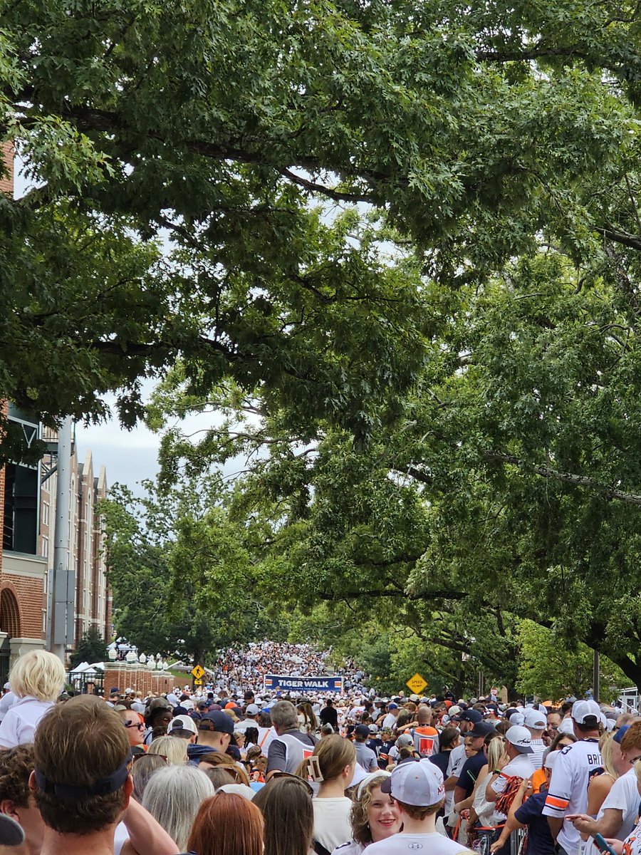 This is Tiger Walk at Auburn. The fans greet the players as they walk from the bus to the stadium. There is supposed to be a path for them! Auburn has a new coach so there was excitement in the air. This was Auburn v Alabama (Iron Bowl) level.