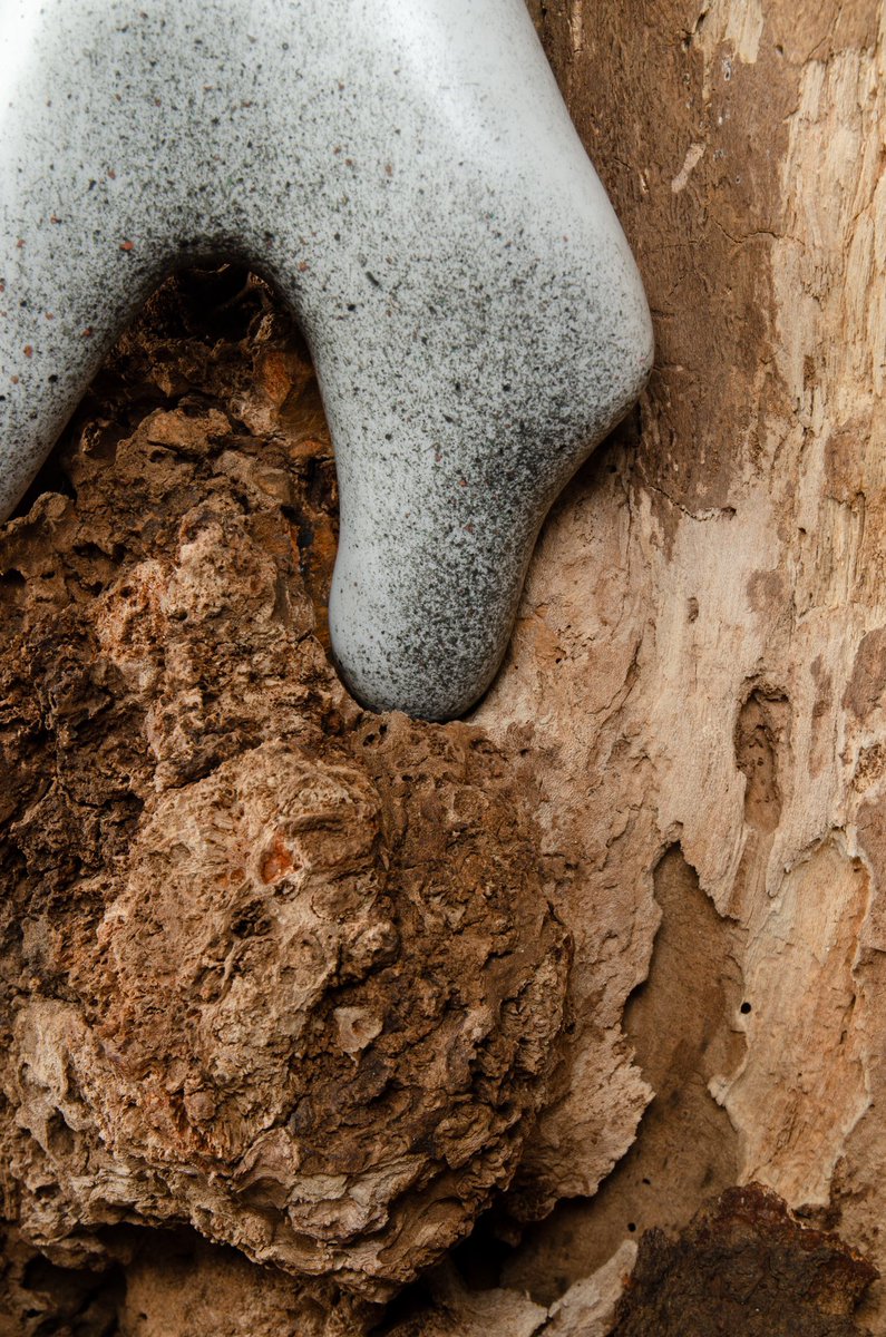 Ben Snell tweet media