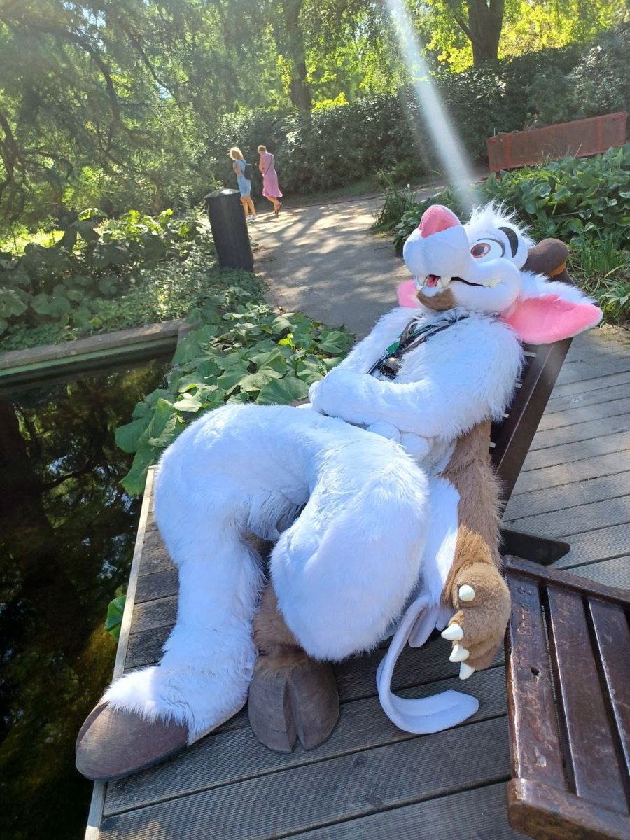 Määhhhhhhhhhgnl even Demons needs to chill inbetween <a href="/MoreFurLess/">More Fur Less</a> #Eurofurence 
#Plantenenbloomen