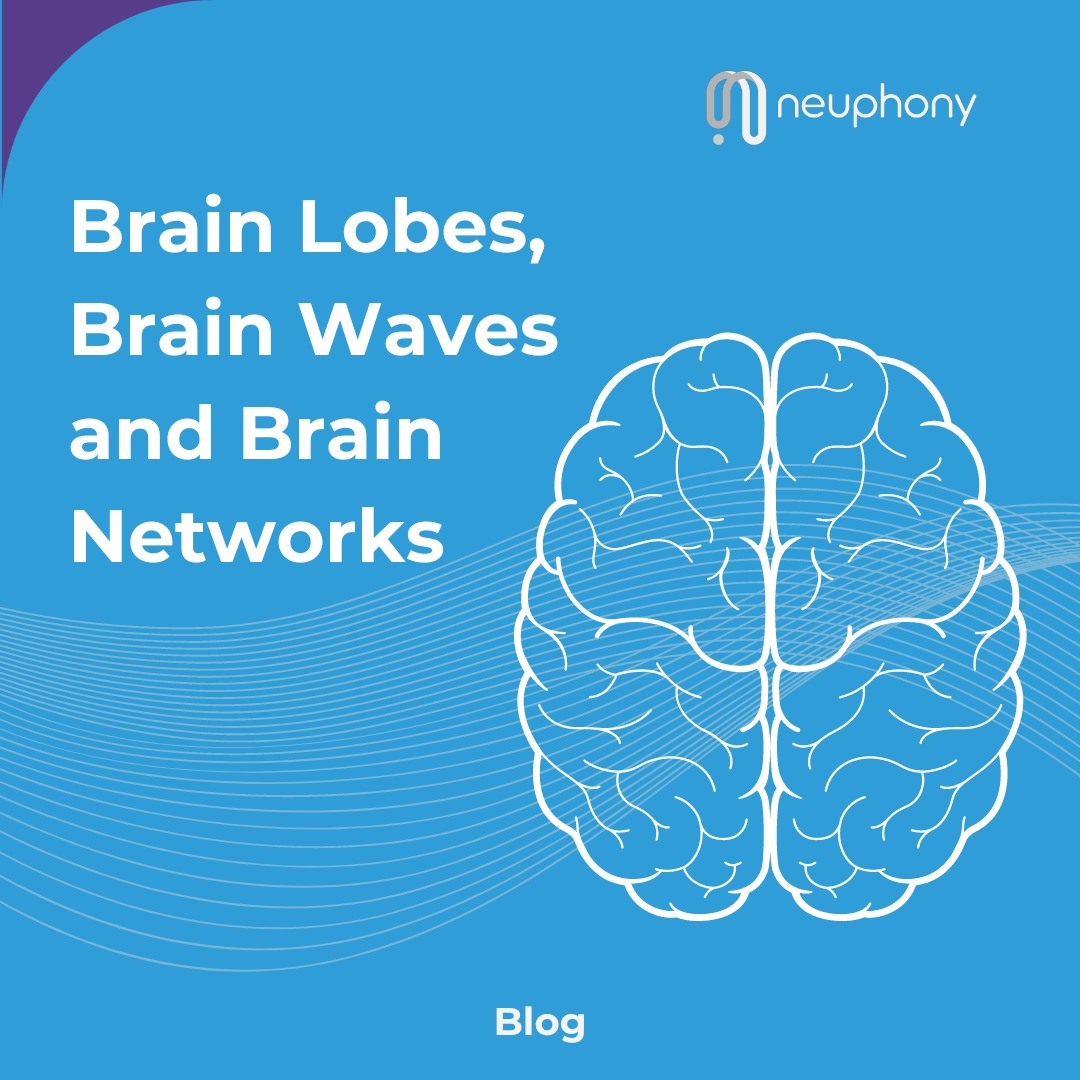 neuphonyforu's tweet photo. ๐ง Explore brain networks like DMN (Default Mode Network), CNS (Central Nervous System), CEN (Central Executive Network), and SNS (Sympathetic Nervous System) to uncover the secrets of your mind! ๐ Check out the blog (link in comment) for more! ๐ #BrainScience #NeuroExploration https://t.co/KY5fAmlnRC