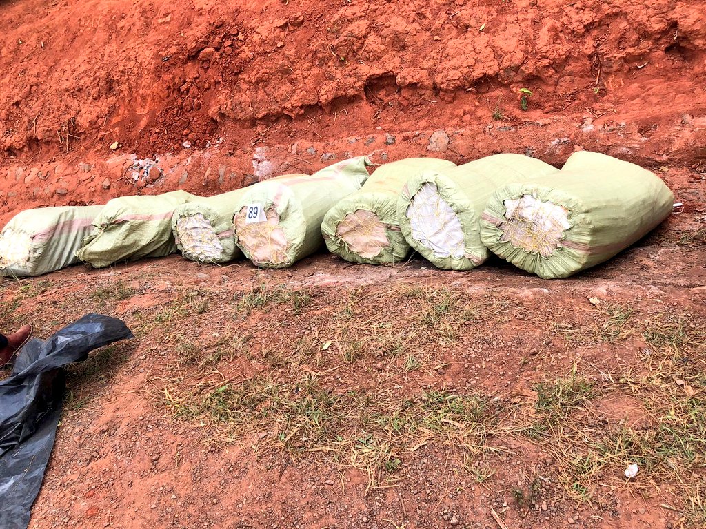 DCI_Kenya's tweet photo. Police in Kilifi have seized 316kg of bhang estimated at a street value of Sh9,480,000 after the Toyota Land cruiser used as transport means landed into a ditch in a self-involved accident.

The bhang was stashed in seven gunny bags ferried along Kaloleni - Mavueni route in the https://t.co/Fuyfbcm6fa