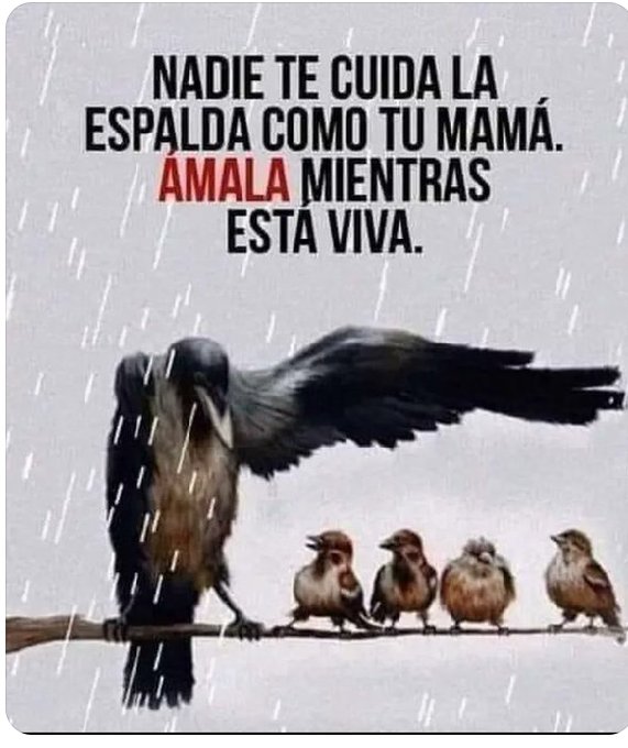 buenos días 🌞🌷🌞🌷😊