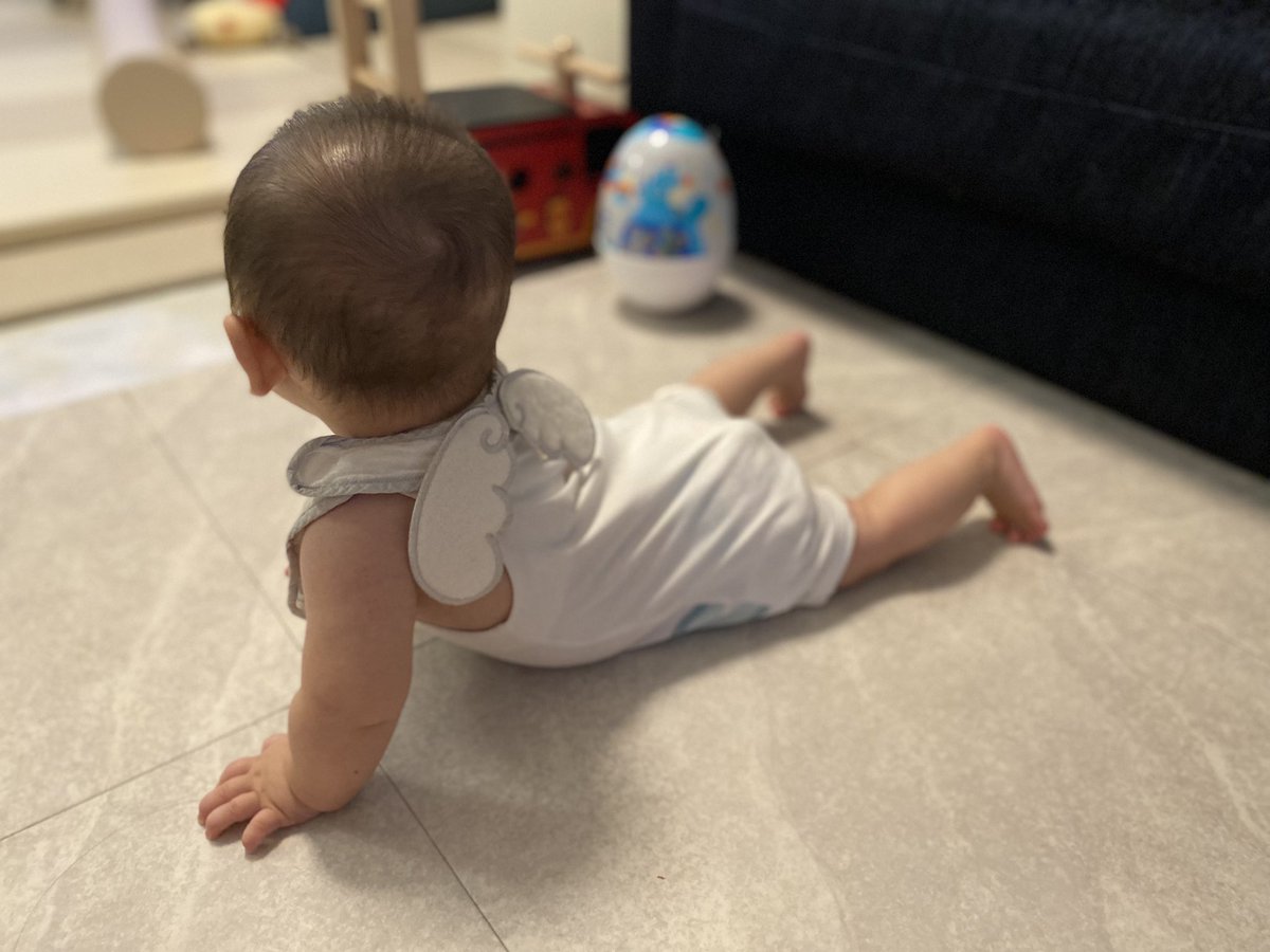 aoi_miss4's tweet photo. #7month
#baby https://t.co/LKot3ONuQz