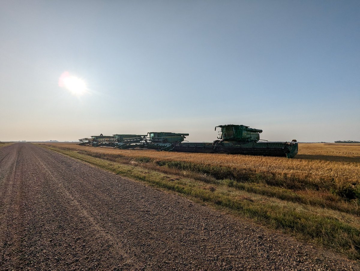 First rain delay of harvest. The X9,s have been treating us well so far. They fucking chew grain in a hurry