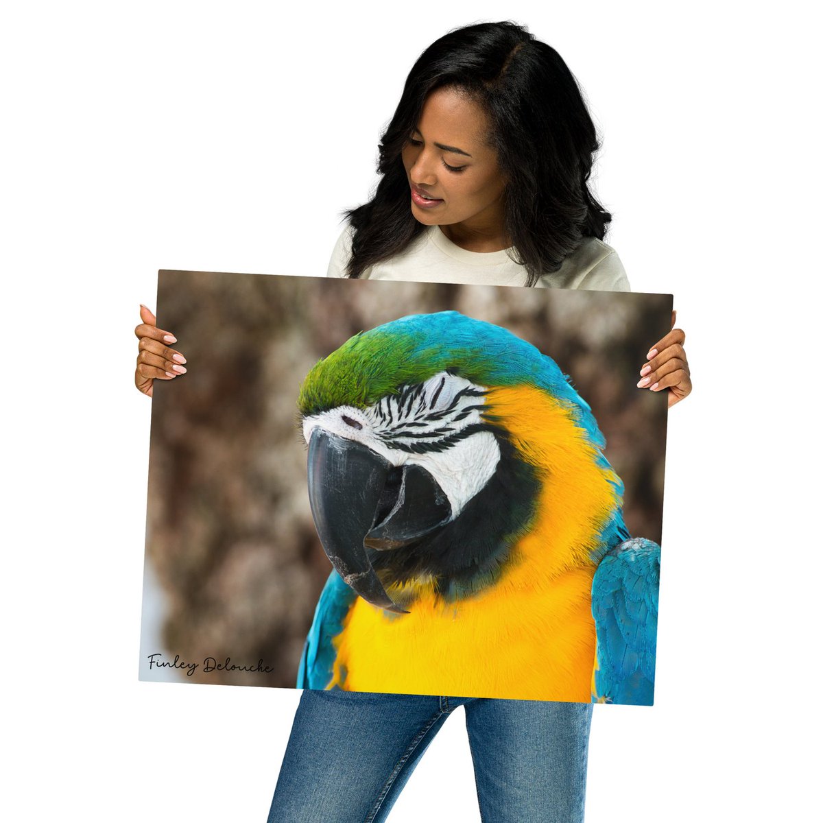 Sleepy Blue-and-Yellow Macaw on Hilton Head Island Metal Print — A Wandering Mind awanderingmind.life/shop/p/blue-an…

#PhotographyPrints #HomeDecor