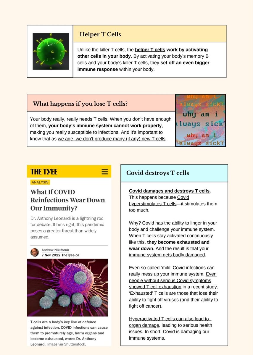 RealGayArbys's tweet photo. As promised, here is my attempt at a very basic T cell explainer. Please feel free to steal &amp; repost everywhere! Will make an Instagram version soon. Shoutout to @fitterhappierAJ, whose work laid the foundation for this guide:
https://t.co/AV4qy1wRCG https://t.co/1y9WrFrlOl
