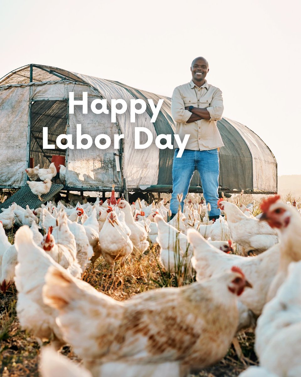 PoultryTimes's tweet photo. Happy Labor Day to the hardworking heroes of the poultry industry, keeping our tables full and our farms thriving. πΎπ
#LaborDay #PoultryPride #FarmLife #poultrytimes #poultryindustry https://t.co/v0107crWKZ