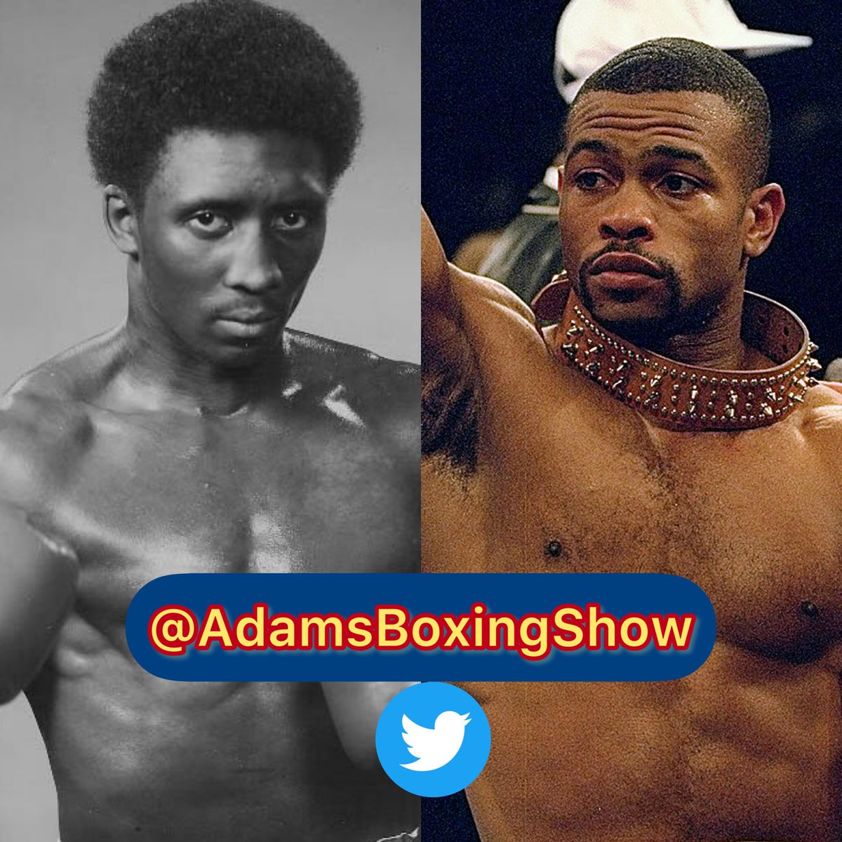 Adams Boxing Show tweet media