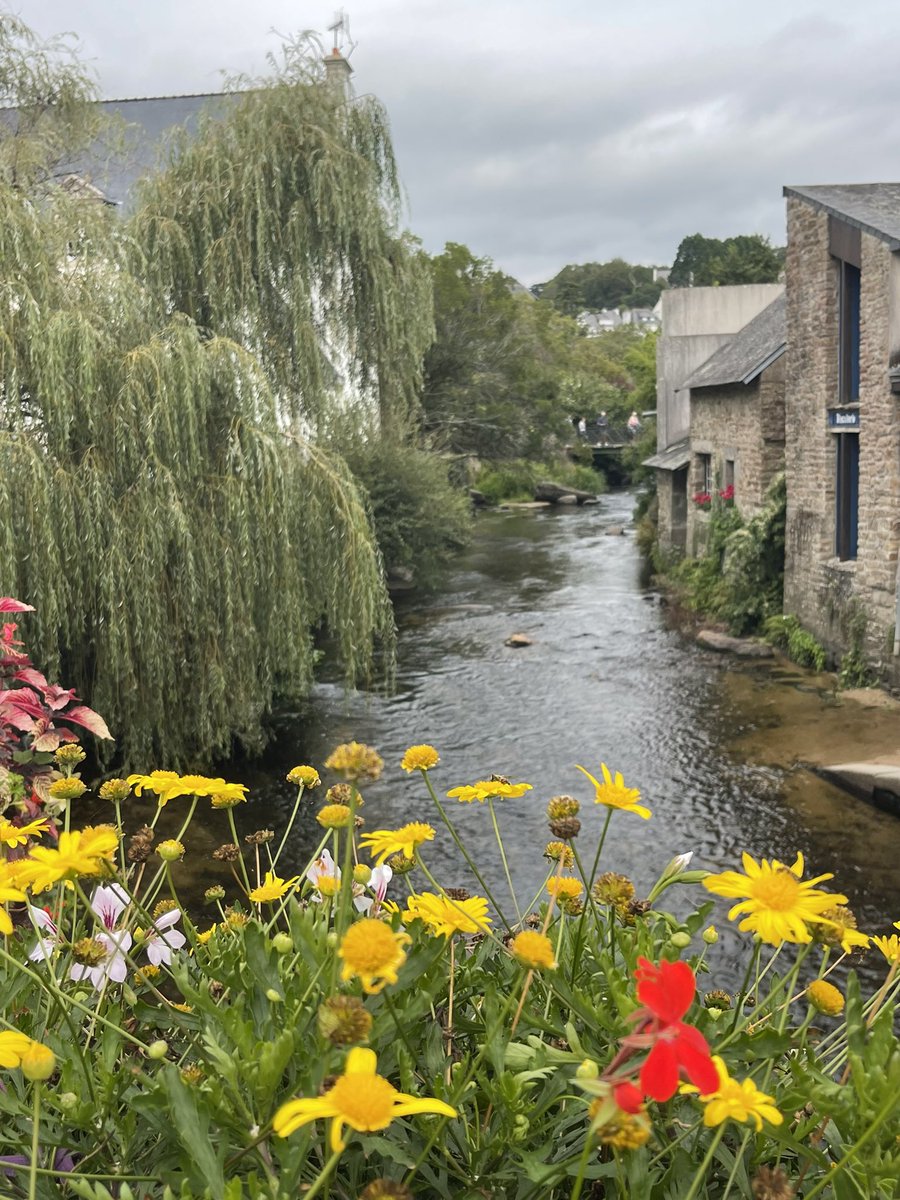 Bon #lundifleuri de la cité des peintres.