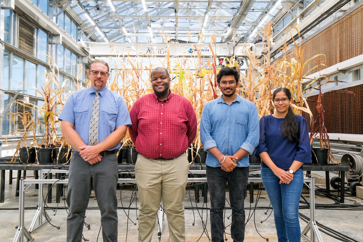Excited to be a part of a great collaboration with
<a href="/AgriLife/">Texas A&M AgriLife</a> and <a href="/DrSethMurray/">Seth</a>! #AI #Agriculture engineering.tamu.edu/news/2023/08/t…