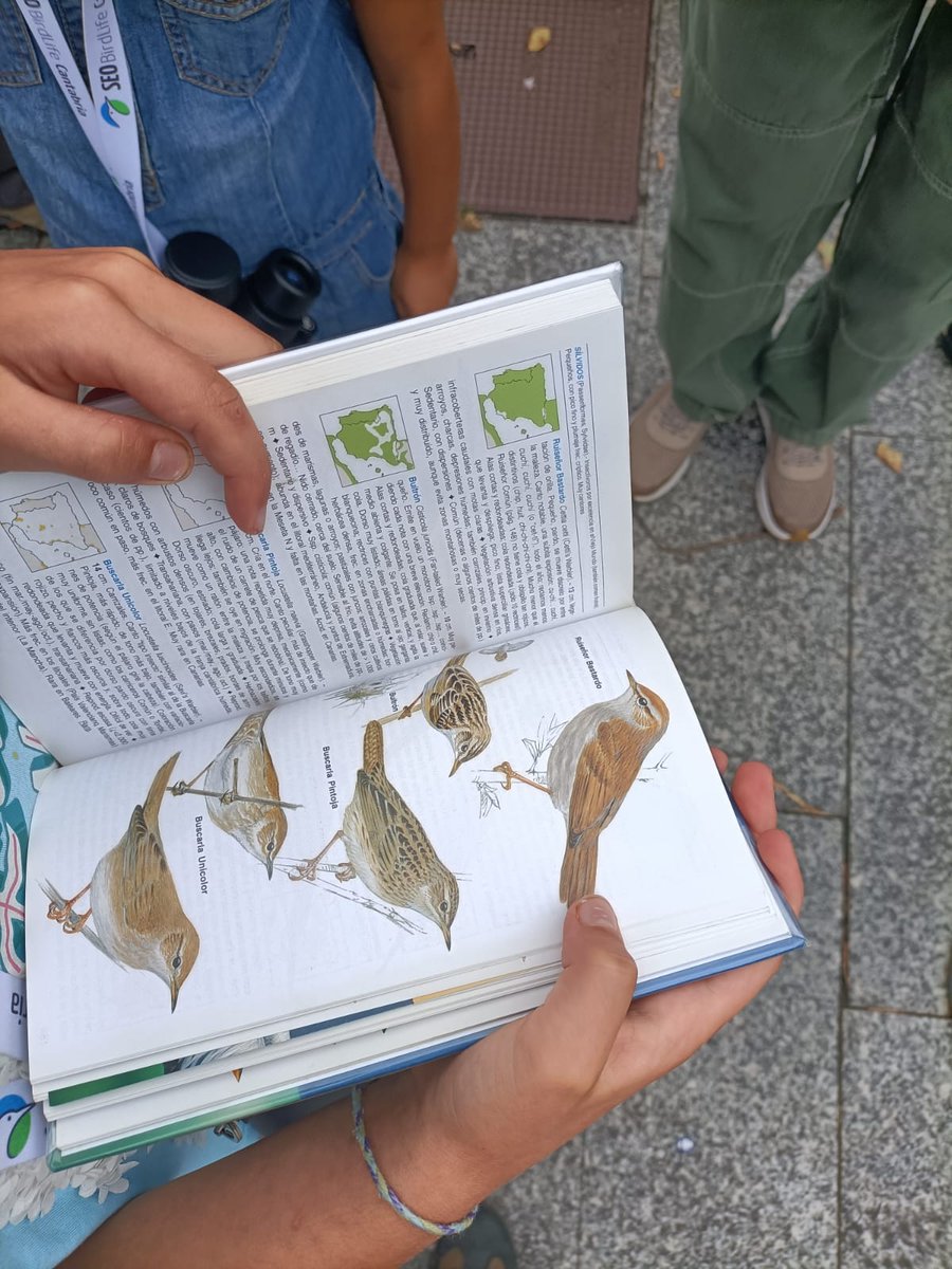 SDRnatural's tweet photo. Gallinetas, fechas, ánades real y friso, gaviotas y múltiples pajarines protagonistas del #domingodeparque ayer en Las Llamas.
Una magnífica oportunidad para conocer la Naturaleza de #Santander
#SDRnatural #ProyectosPRTR #Planderecuperacion https://t.co/1nMW5RiwVL