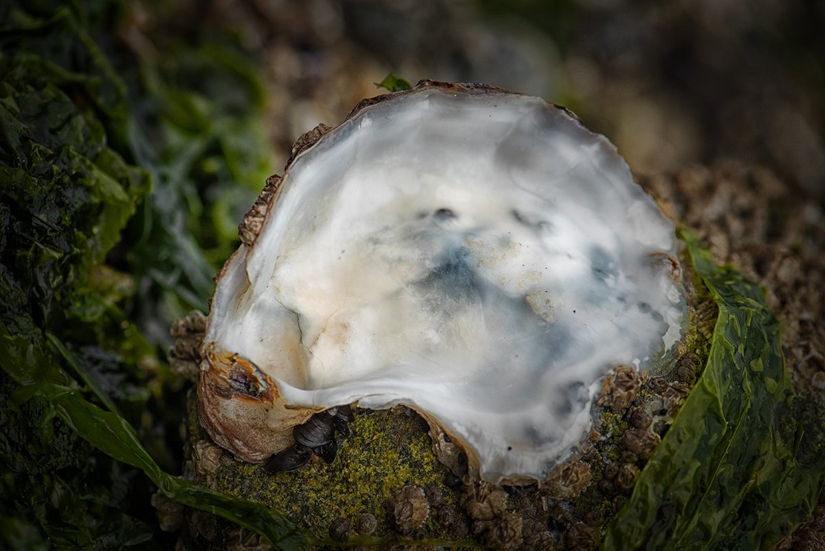 Stephanie Alexandra tweet media