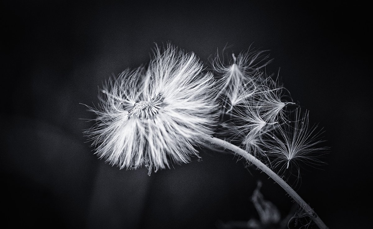 Stephanie Alexandra tweet media