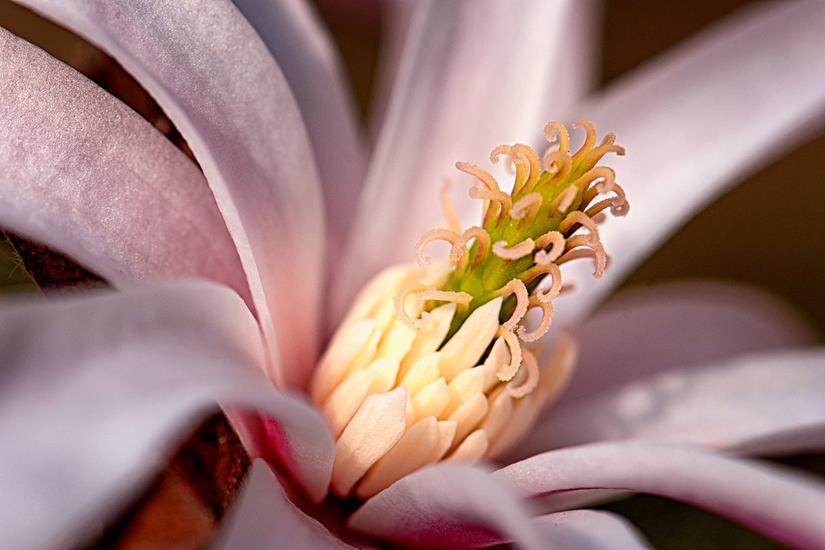 Stephanie Alexandra tweet media