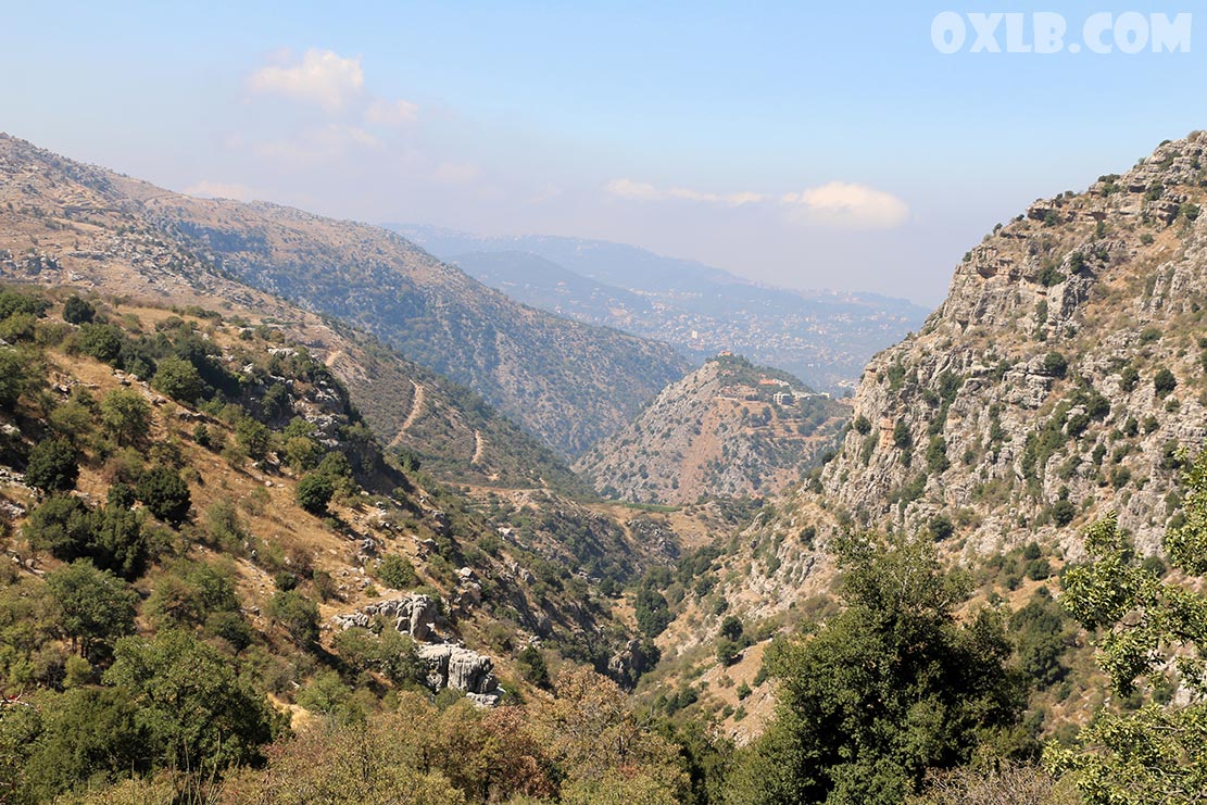 onefineart's tweet photo. You walk and you see in front of you beautiful valleys and hills... we are hiking in Baskinta... https://t.co/r4DUe20w0P #lebanon #baskinta #mylebanon #beautifulvalley #discoverlebanon #livelovelebanon #livelebanon https://t.co/40diSaNC1g