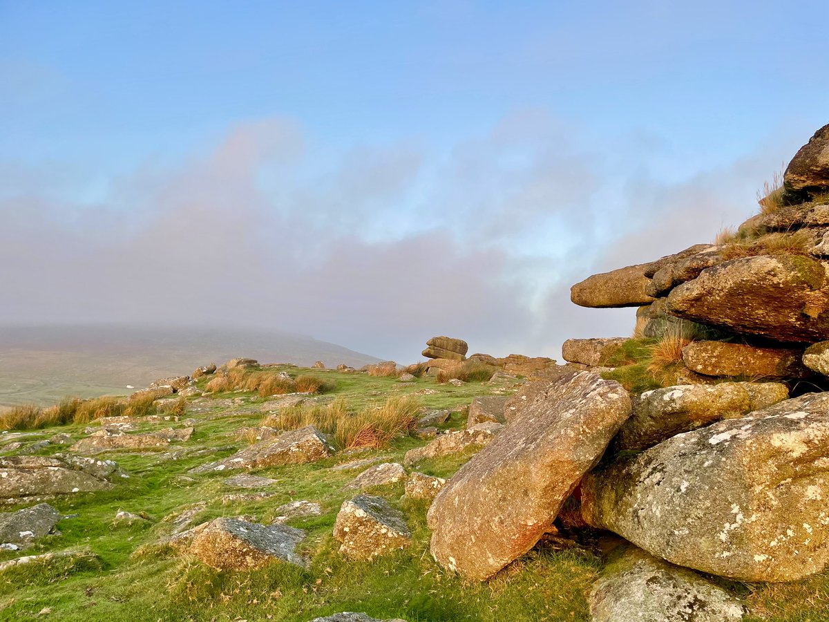 VisitDartmoor's tweet photo. We had a superb start to our day 💛💚🤎
Perfect sunrise viewed from Row Tor looking across to Belstone Tor. 
Everyone happy and chilled by the time we got home, ready for the usual stuff a Monday throws at you! 

#dartmoor #devon #dartmoordogs #mentalhealth https://t.co/6tZ4kgjvDJ