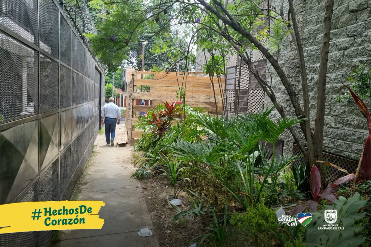 bienes_cali's tweet photo. De forma voluntaria se realiza desmonte en la zona aledaña a una bodega ubicada en la comuna 2️⃣, que estaba ocupando, de forma irregular, el paso peatonal en el sector.

(Sigue el🧵⬇️)
@AlcaldiaDeCali @SeguridadCali @fpradogil https://t.co/tIYw46TCe2