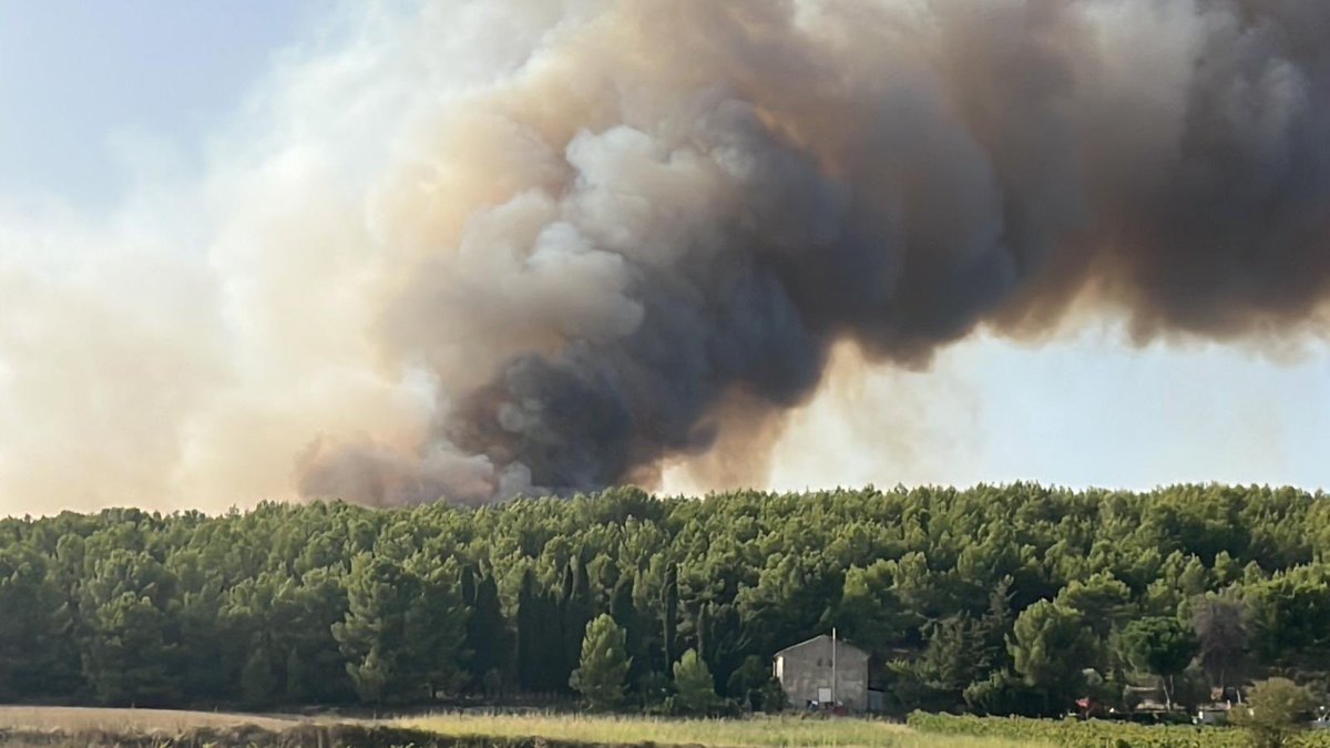 pompiersdugard's tweet photo. #intervention en cours depuis 16h50 pour un feu de végétaux sur la commune d’Aigues Vives. Ne pas se rendre sur place et ne pas gêner les secours en train d’intervenir. @Prefet30 @aiguesvives @Gard https://t.co/v4wQuWUpX5