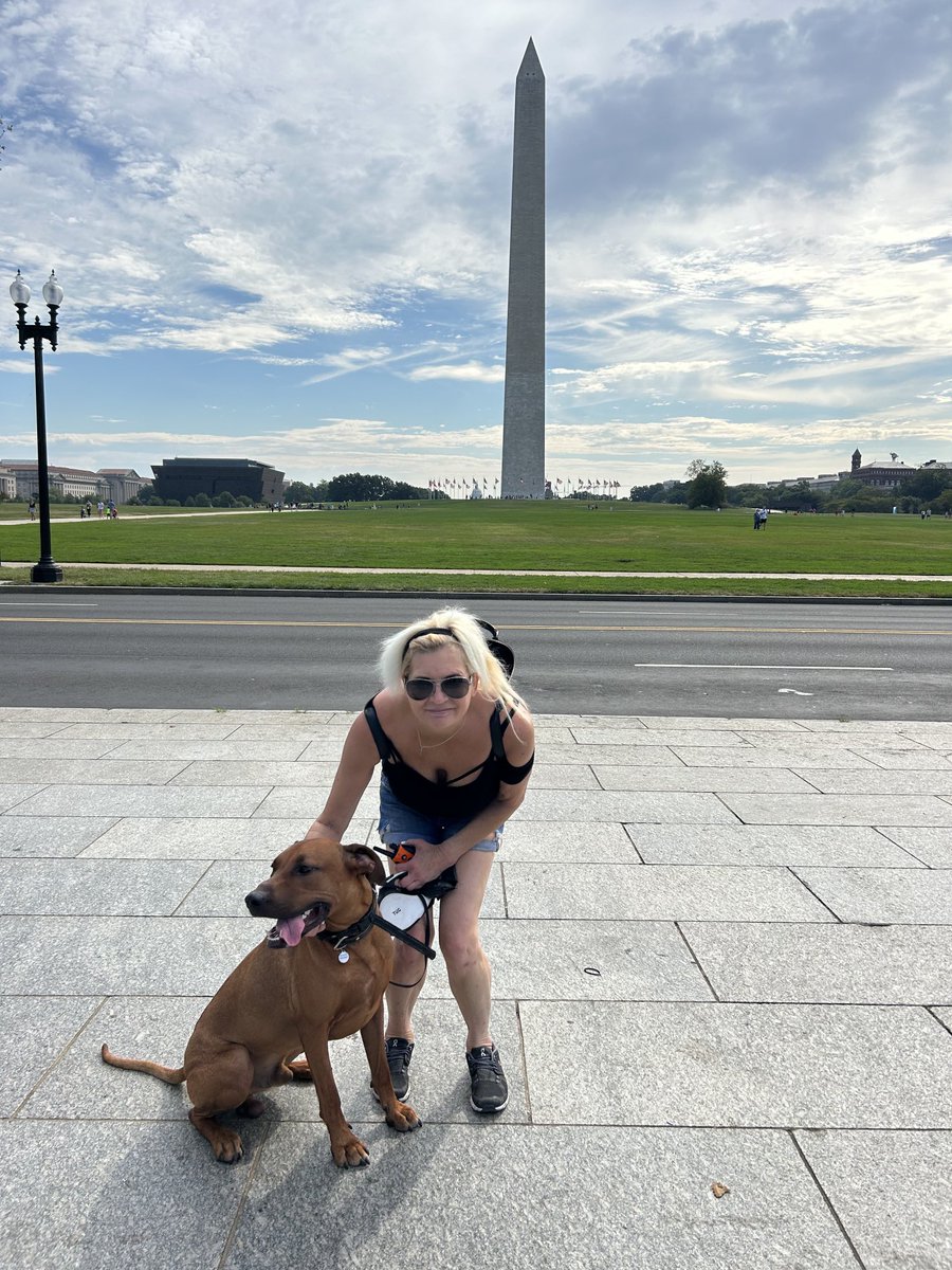 Hitting the national mall early! It’s hot out there! Happy Labor Day… #itssparkysworld #rhodesianridgeback