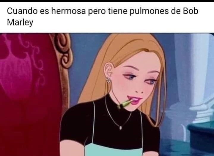el porrito (@elporritook) on Twitter photo 