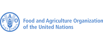 SISEFtweet's tweet image. Out #Today #4september

If you feel like joining @FAO and work within its #forestry division then take a look at this 👇👇 

@FAOForestry #Bruxelles 🎯
jobs.fao.org/careersection/…