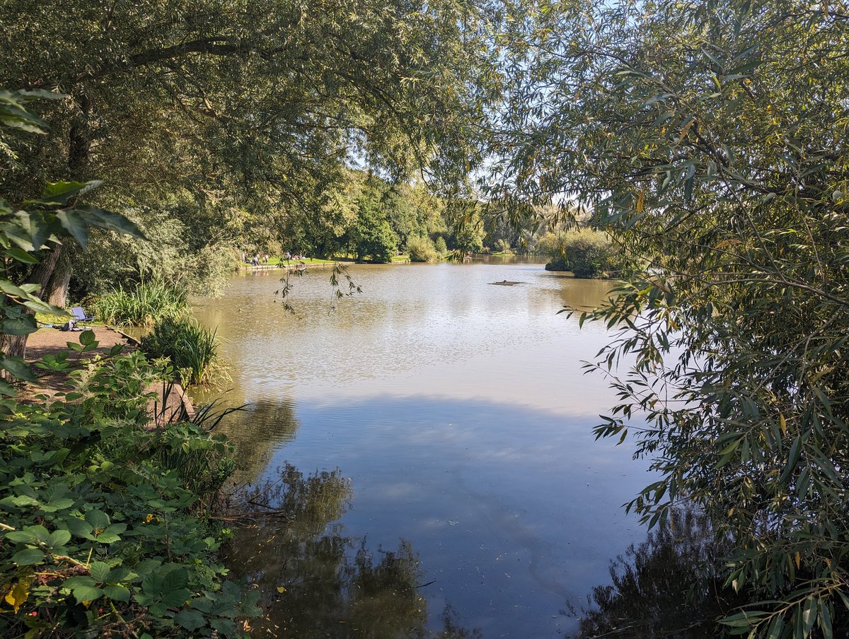 Here comes the sun 🎶

What a glorious start to the week! Here's a few photos from our walk today around the Fleets and <a href="/DearnePark/">Dearne Valley Country Park Group</a>

Please share your pics with us as part of #BarnsleyHeritageMonth