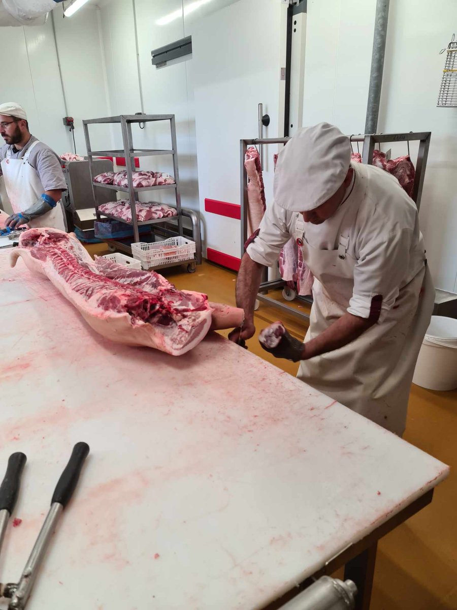 Visite ce jour des #Salaisons Raygal à Lacaune, une de ces entreprises artisanales qui font la renommée de la charcuterie de #Lacaune.
#IGPsalaisonsdelacaune