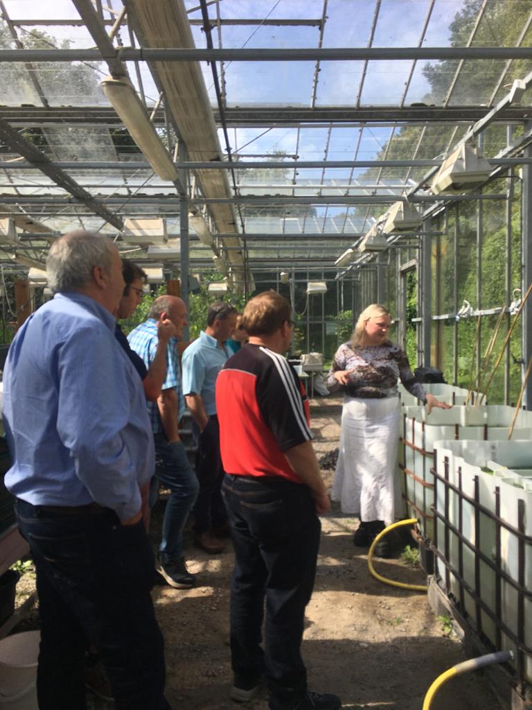 BRAINWAVES Project tweet media