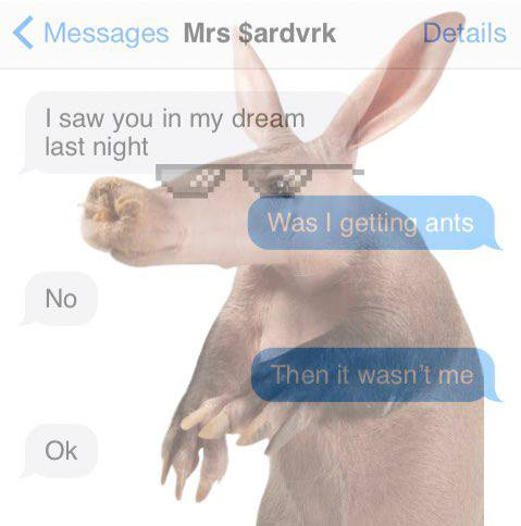 DefiRabbitHole 🐇 🕳 tweet media