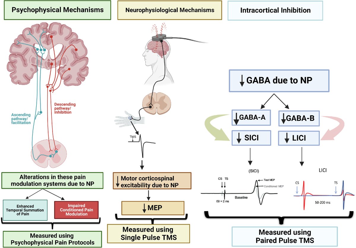 Thank you <a href="/PetersonREALab/">REALab VCU</a> for sharing the link to our paper. Excited to see this published in Neurophysiologie Clinique where we assessed the changes in Psychophysical pain mechanisms, Corticospinal excitability and Intracortical inhibition post pcTBS at M1 and DLPFC <a href="/IASPpain/">IASP</a>