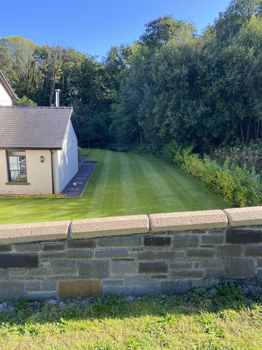 justyn knight tweet media