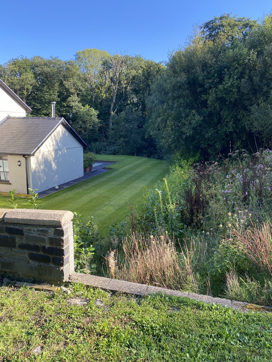 justyn knight tweet media