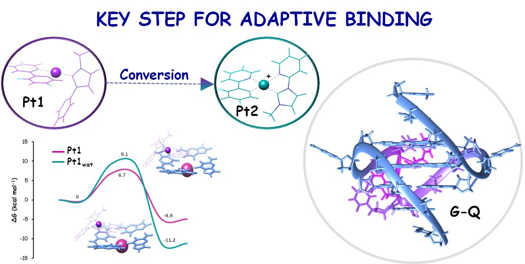 Stefano Scoditti tweet media