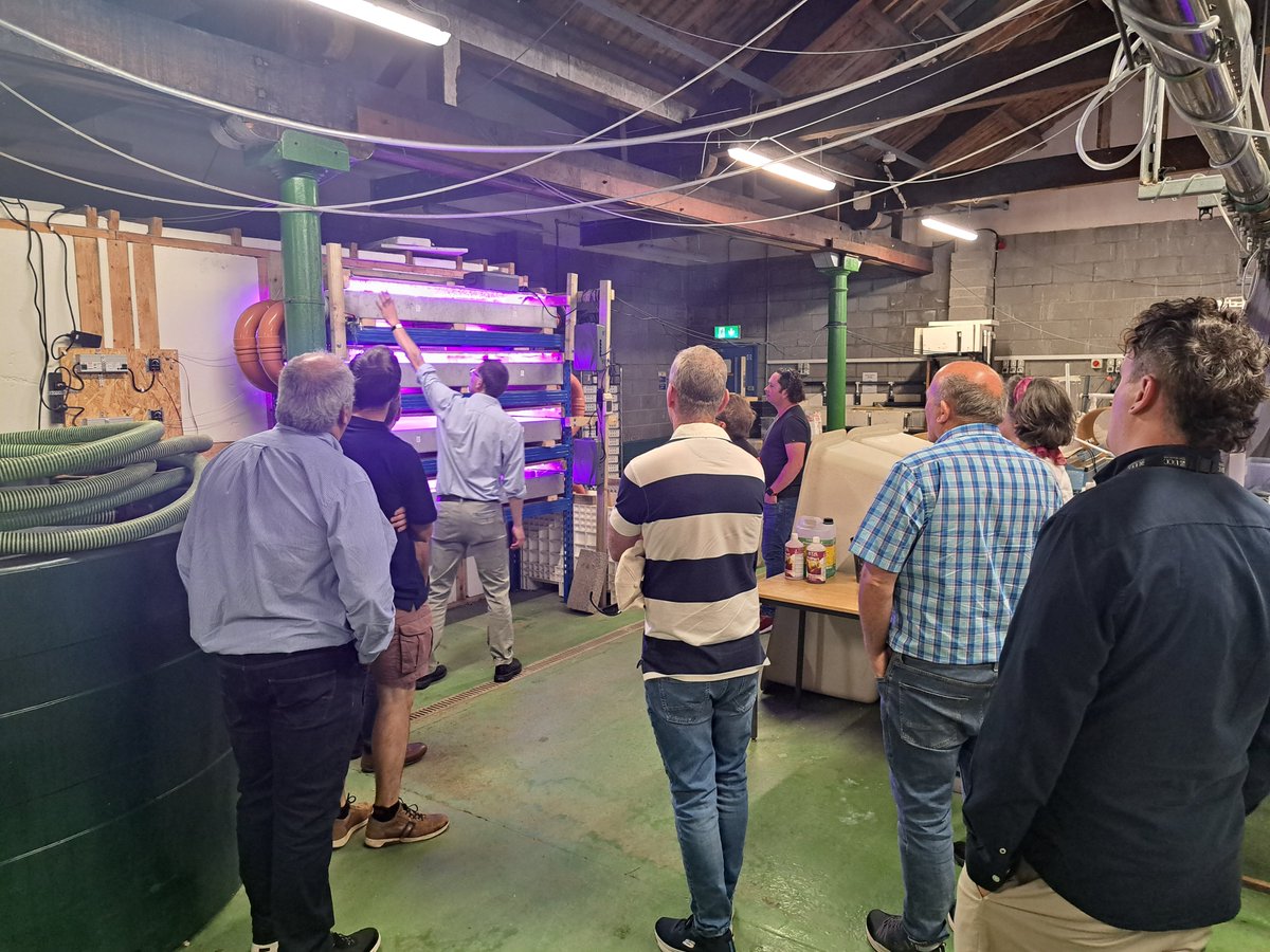 BRAINWAVES Project tweet media