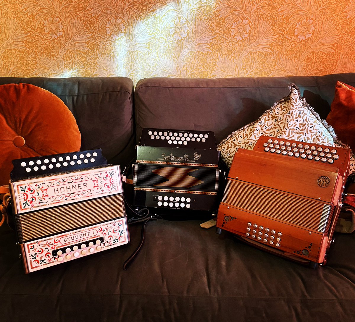 Delighted to be returning to teach <a href="/TheEFDSS/">EFDSS</a> melodeon and song classes this year! Intermediate and also beginner melodeon levels, with instruments to hire too. What more could you want? Starting this Sunday!