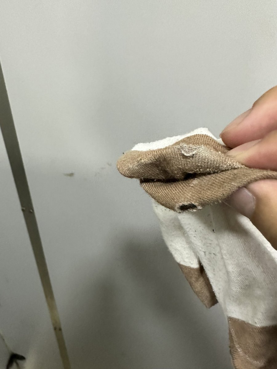 晚上在海边闲逛 发现一个大学生妹妹的鞋袜 太黑了没拍到照片  带到厕所射完还想给她送回去  结果发现她已经走了…… 场景自行脑补 #原味 https://t.co/2oekF6S5NV