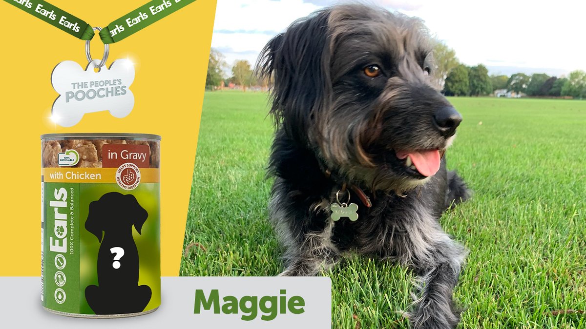 AldiUK's tweet image. WE NEED YOU! Help us pick a winner for which rescue dog should be a Peoples Pooch!

Decide for us by voting below, then head to our other socials because we need more help there too. #EarlsPooches