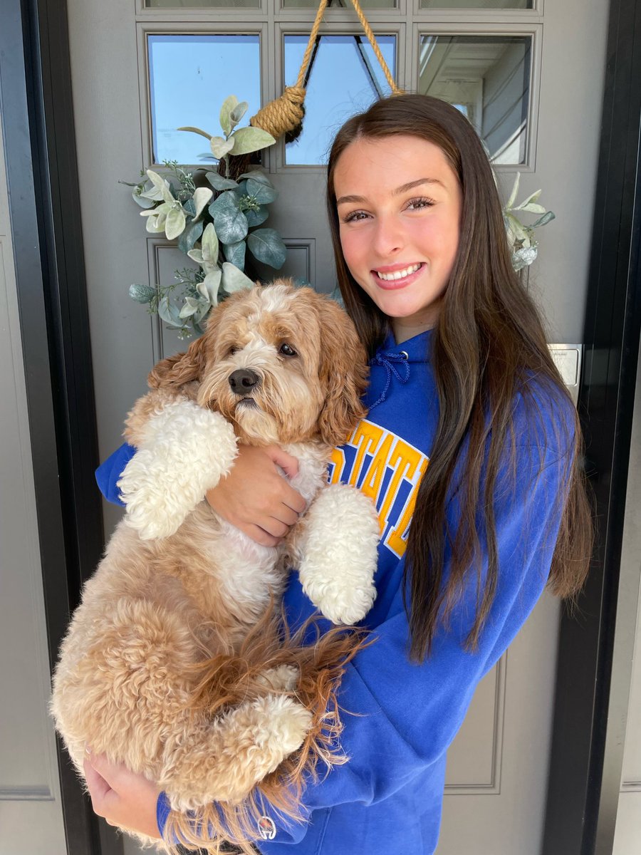 Taylor Clarey tweet media